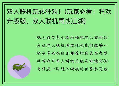 双人联机玩转狂欢！(玩家必看！狂欢升级版，双人联机再战江湖)
